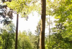 whatsapp-image-2026-06-20-at-14.jpeg